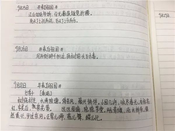 口诛笔伐:新澳天天开好彩资料大全,请全面释义、解释与落实
